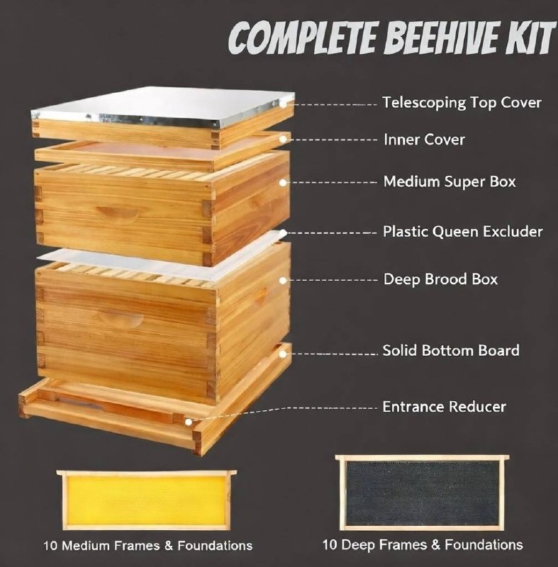 Beeswax coating, plastic foundation sheets, dovetail joint construction