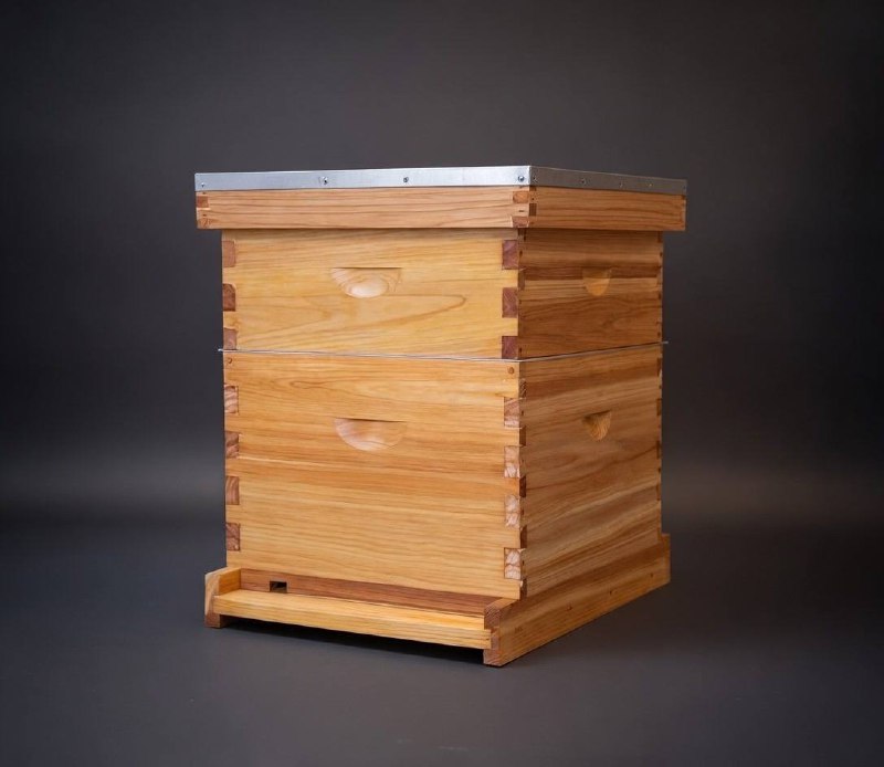 10-Frame Langstroth Starter Hive with beeswax coating, deep brood box and medium super